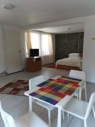 Гостевой дом Pensiunea Memy Буштени Семейный номер-1