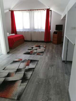 Гостевой дом Pensiunea Memy Буштени Трехместный номер-8