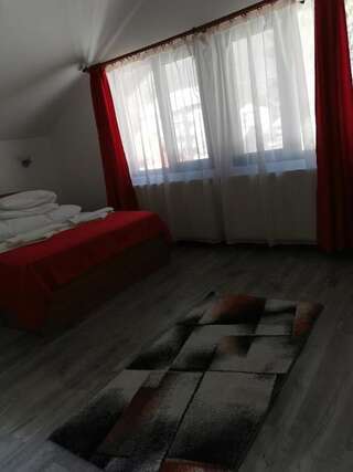 Гостевой дом Pensiunea Memy Буштени Трехместный номер-9
