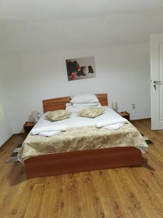 Гостевой дом Pensiunea Memy Буштени Двухместный номер с 1 кроватью-7