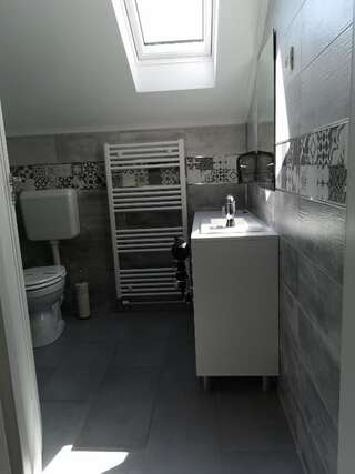 Гостевой дом Pensiunea Memy Буштени Двухместный номер с 1 кроватью-9