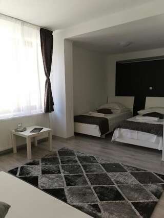 Гостевой дом Pensiunea Memy Буштени Двухместный номер с 1 кроватью-13