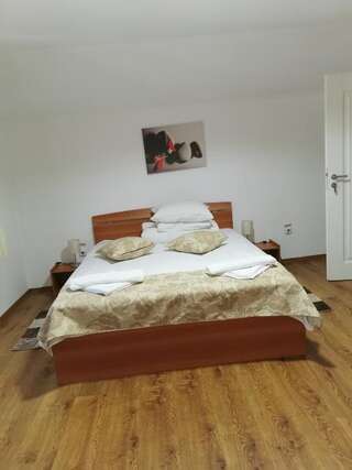 Гостевой дом Pensiunea Memy Буштени Двухместный номер с 1 кроватью-15