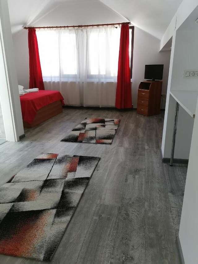 Гостевой дом Pensiunea Memy Буштени-23