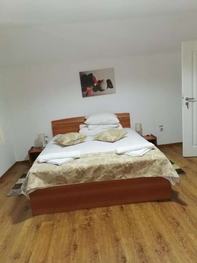 Гостевой дом Pensiunea Memy Буштени-36